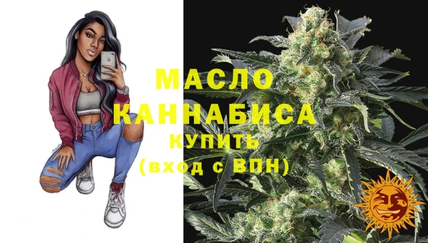 молекула духа Кулебаки