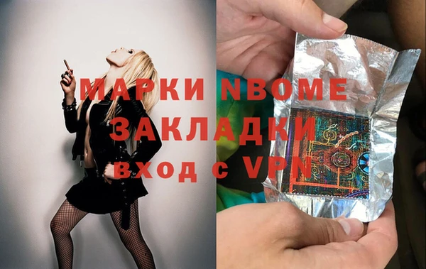 хмурый Лагань