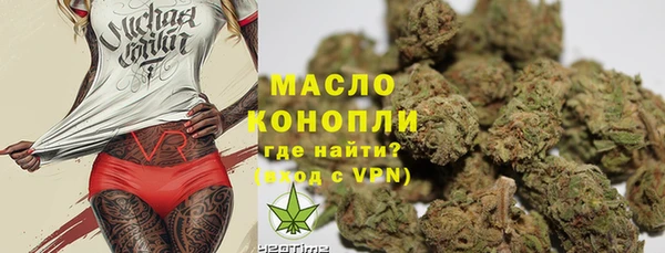 молекула духа Кулебаки