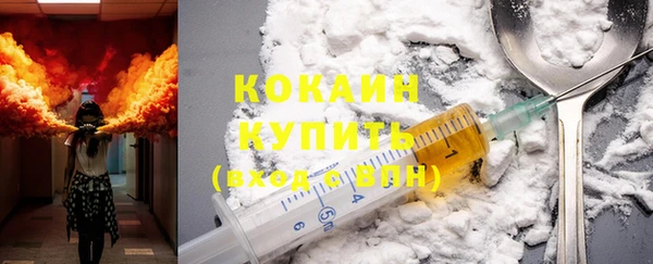 молекула духа Кулебаки