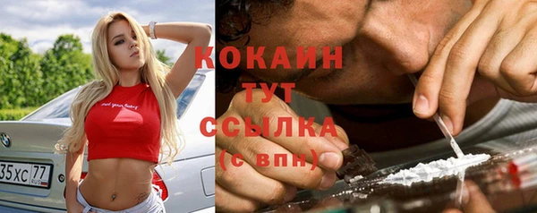 молекула духа Кулебаки