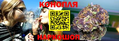 индика Новокубанск