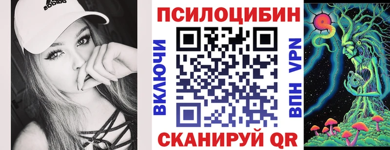 Псилоцибиновые грибы Cubensis shop формула Малгобек