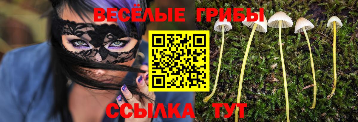 Псилоцибиновые грибы MAGIC MUSHROOMS  Вход с VPN  Малгобек 