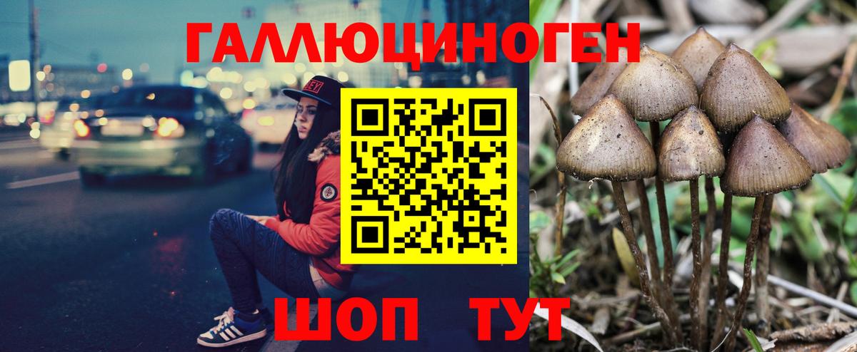 Галлюциногенные грибы GOLDEN TEACHER Малгобек